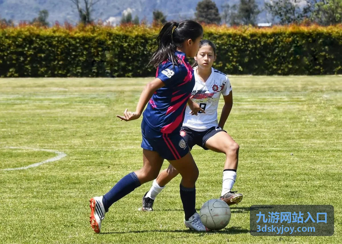 九游网站入口客户端下载封面