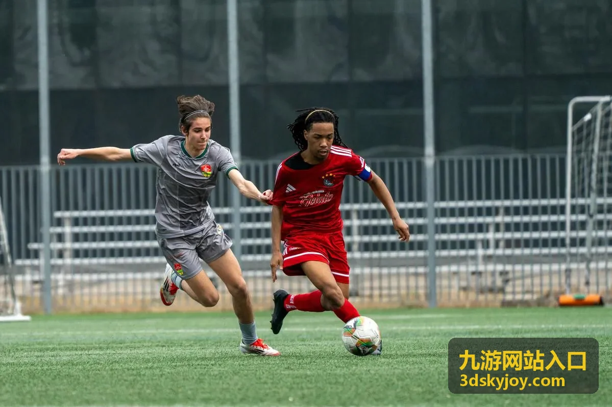 九游网站入口桌面端访问排查